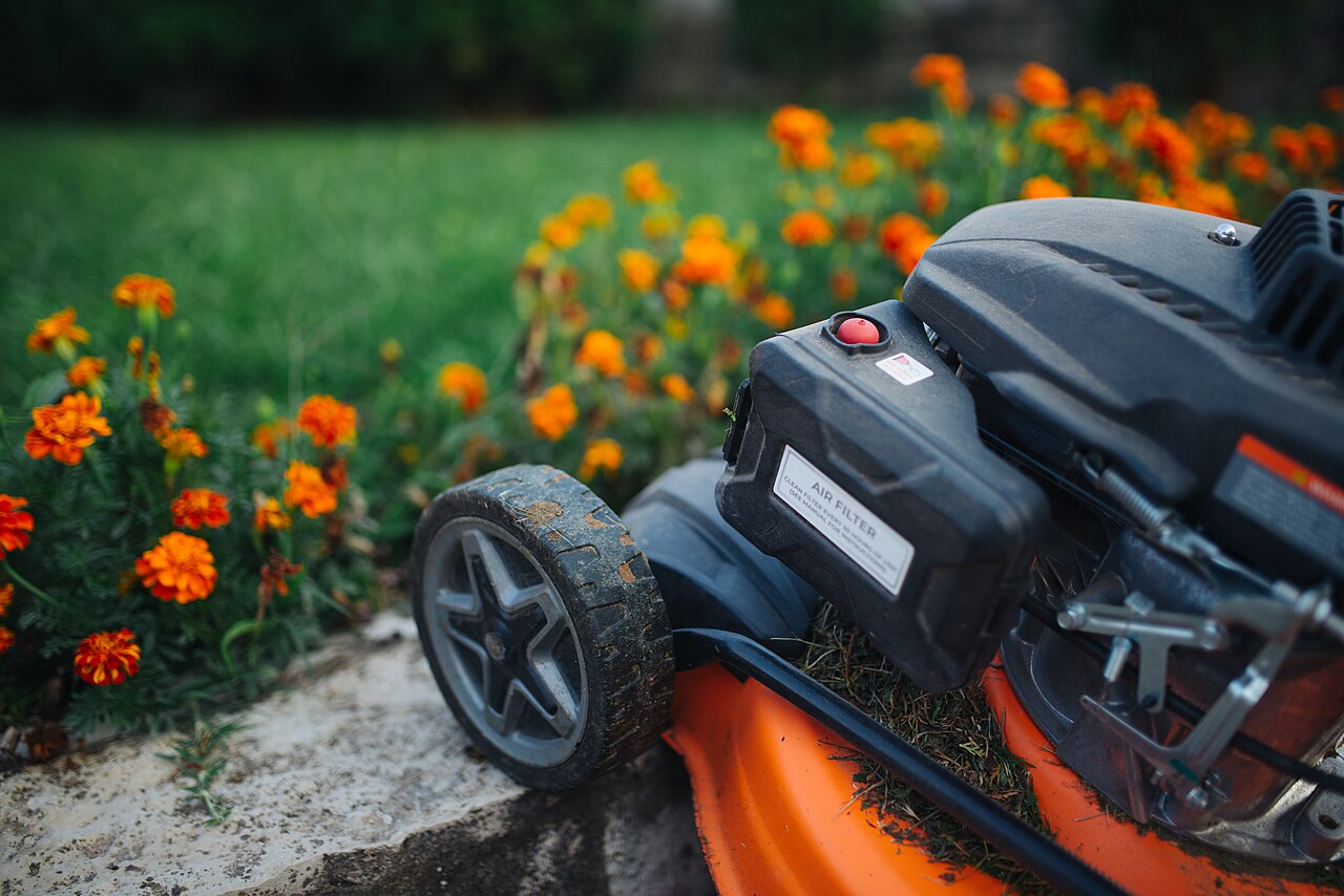 A gas lawnmower on a lawn beside a flowerbed