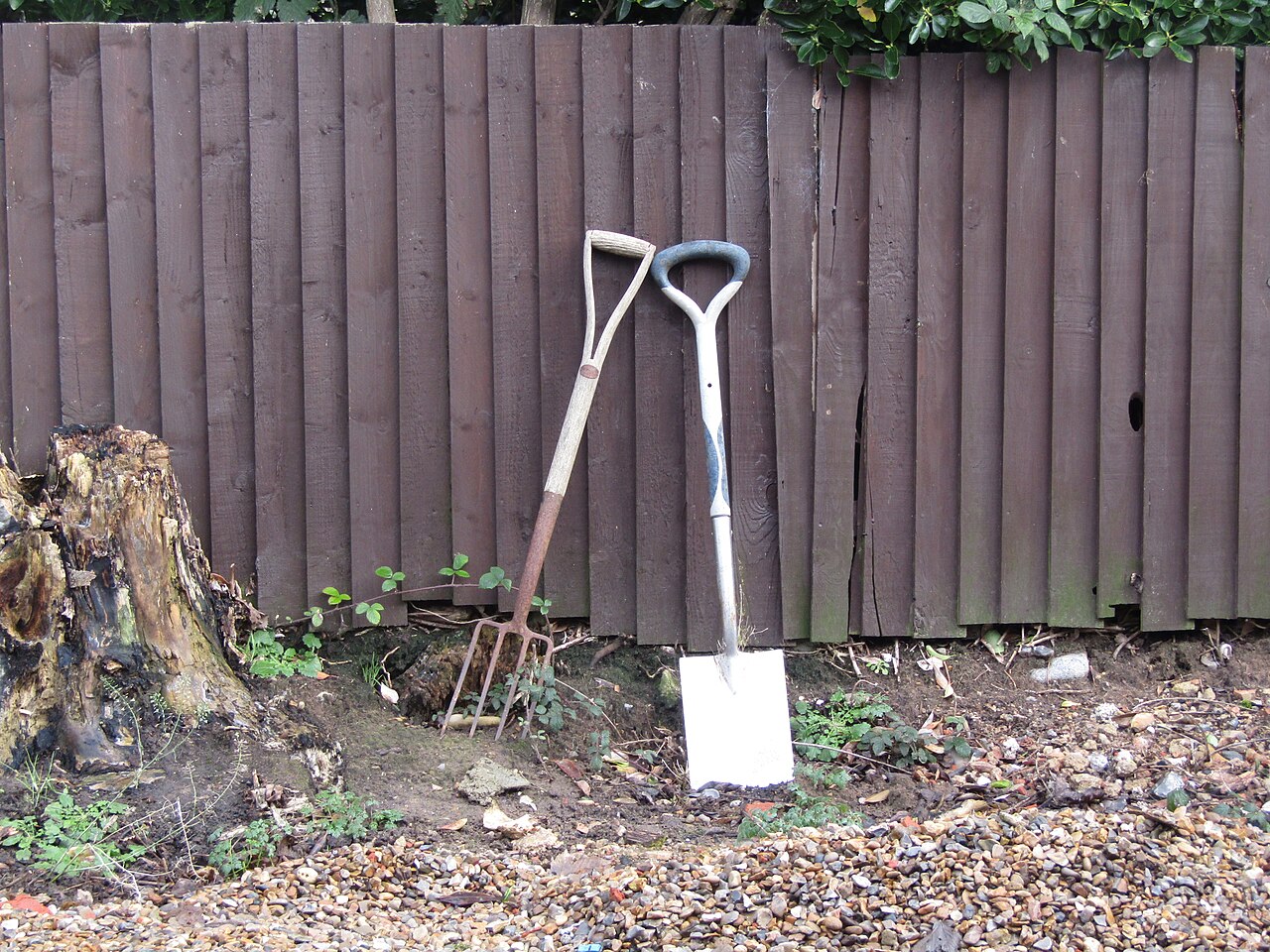 A garden spade and a garden fork leaning against a wooden fence