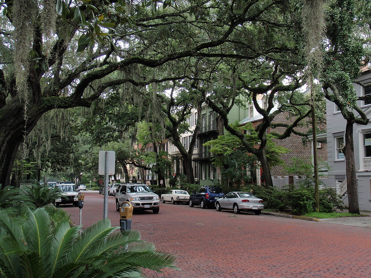Parking meters along the curb of a tree-lined American street, with cars parked at an angle